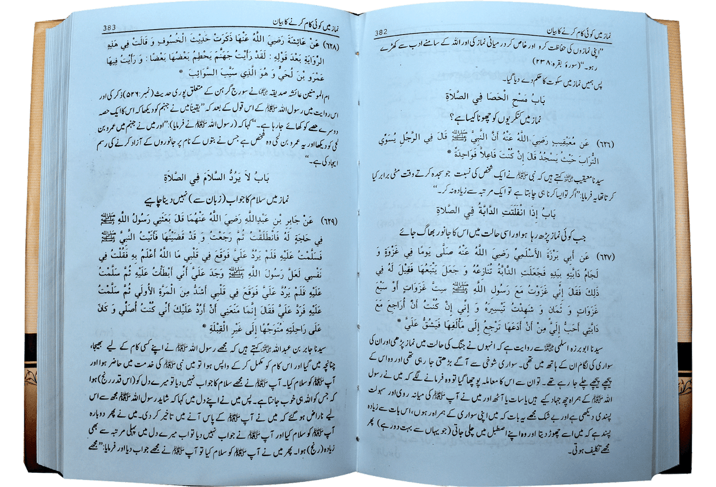 Mukhtasar Sahih Bukhari (2 Volumes Set)