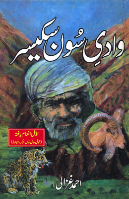 Wadi e Soon Skasar - AJN BOOKS