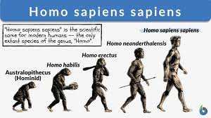 Sapiens A Brief History of Humankind