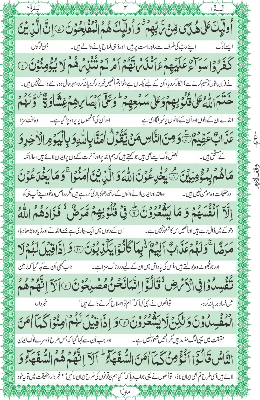 Translation of the Holy Quran (Between the Lines) - AJN BOOKS