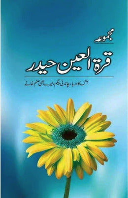 Majmua Quratul Ain Haider - AJN BOOKS