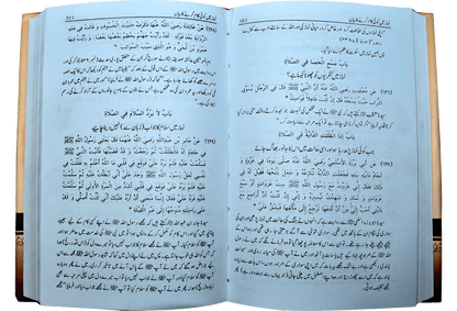 Mukhtasar Sahih Bukhari (2 Volumes Set)