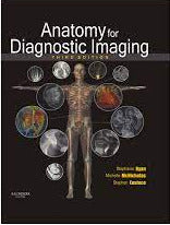 Anatomy For Diagnostic Imaging Premium Multicolour Mate Print