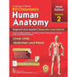 BD Chaurasia's Human Anatomy Regional And Applied Lower Limb Abdomen And Pelvis Vol 2