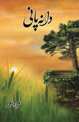 Dana Pani Novel by Umera Ahmed