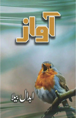 Awaz - Abdaal Bela - AJN BOOKS 